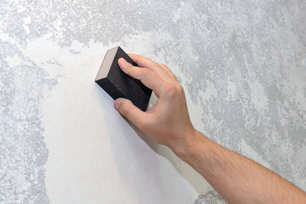 Best Attic Mold Removal  in Ele, AR