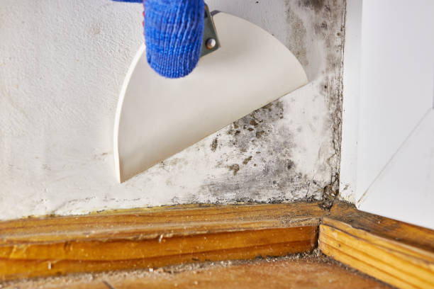 Best Indoor Air Quality Assessment  in Ele, AR