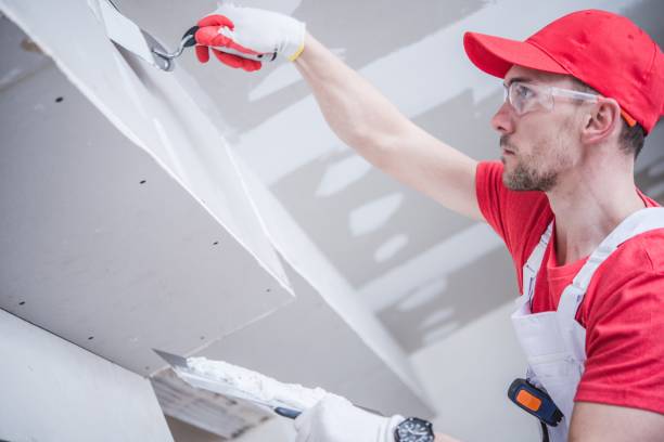 Best Black Mold Removal  in Ele, AR